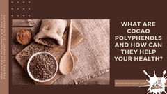 What are Cocao Polyphenols and How Can they Help Your Health?