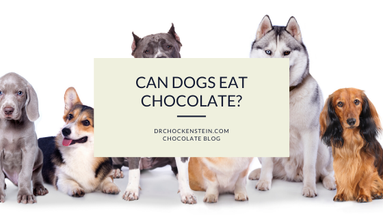 Can Dogs Eat Chocolate?