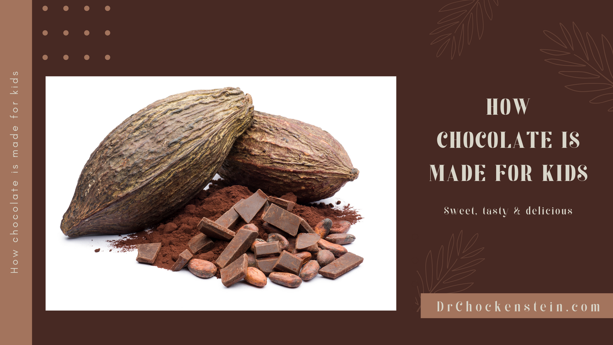 How chocolate is made for kids– Dr.Chockenstein