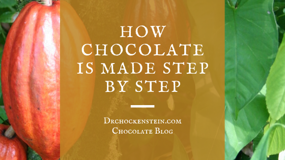 How chocolate is made step by step | Dr.Chockenstein
