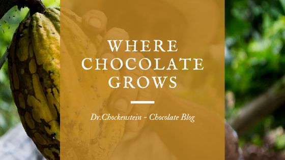  A Journey to Find Out Where Chocolate Grows | Dr.Chockenstein